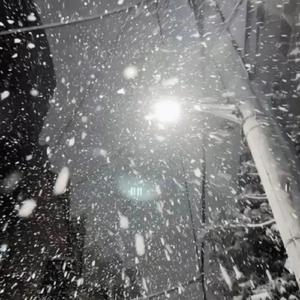 瑞士家庭乱伦图片成视频
